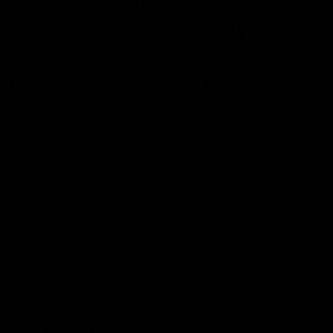 Meet your Posher, Schleich productions